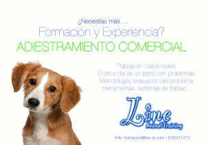 comercial adiestramiento1